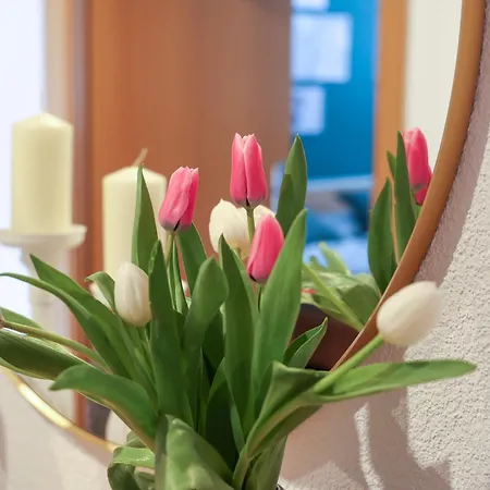 Gluecksmoment - Pure Erholung Apartamento *